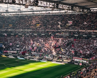 A packed sports stadium filled with enthusiastic fans waving flags and banners. The crowd is dense, showcasing a dynamic and lively atmosphere. Sunlight filters through the stadium roof, casting patterns on the green field below.